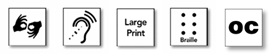 Disability and Language Accesibility Icons